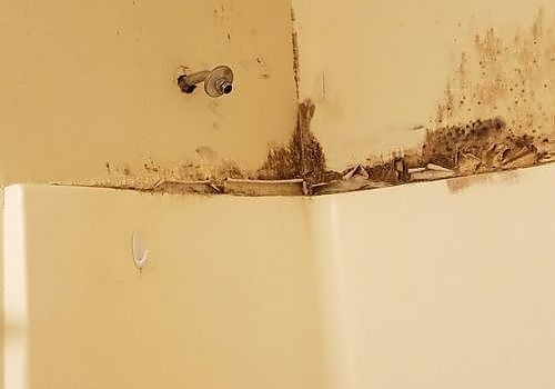 Corner of a stained wall with peeling paint and mold damage near the ceiling