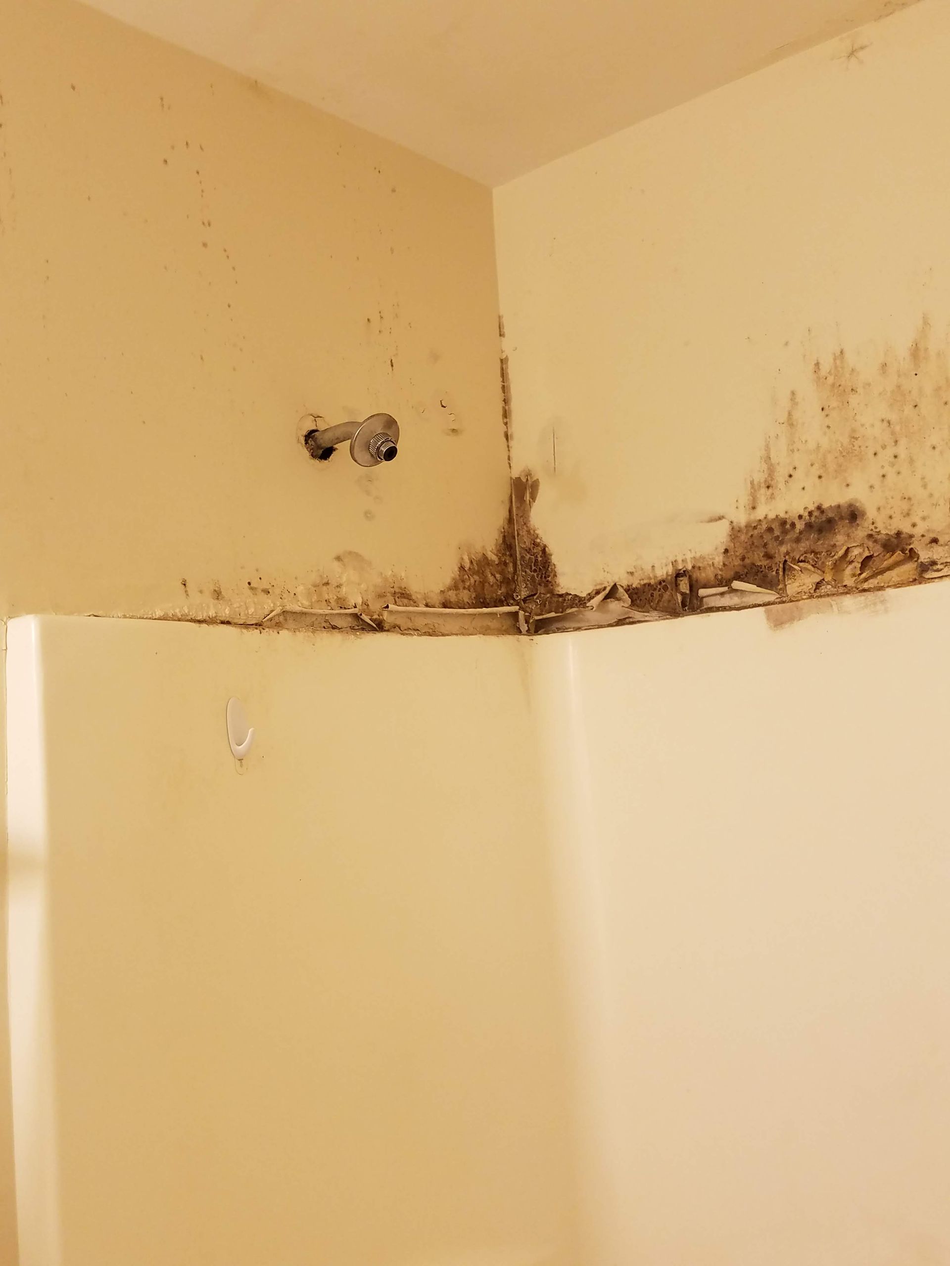 browns-drywall-repair