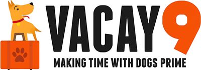 Vacay 9 - logo