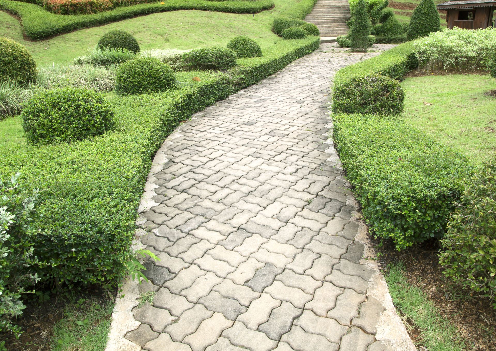 Winding cobblestone path through manicured green hedges in a garden