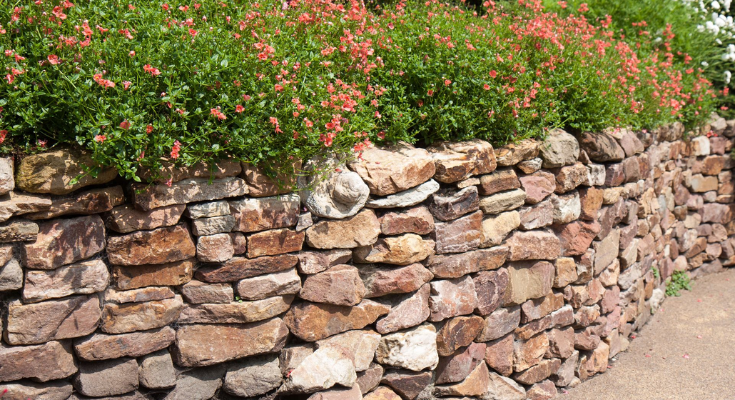 Stone garden wall with pink flowers and green foliage along a paved path