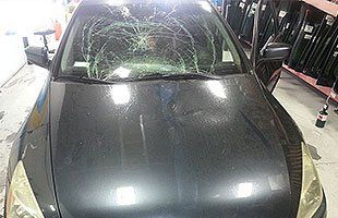 Automotive Glass Services