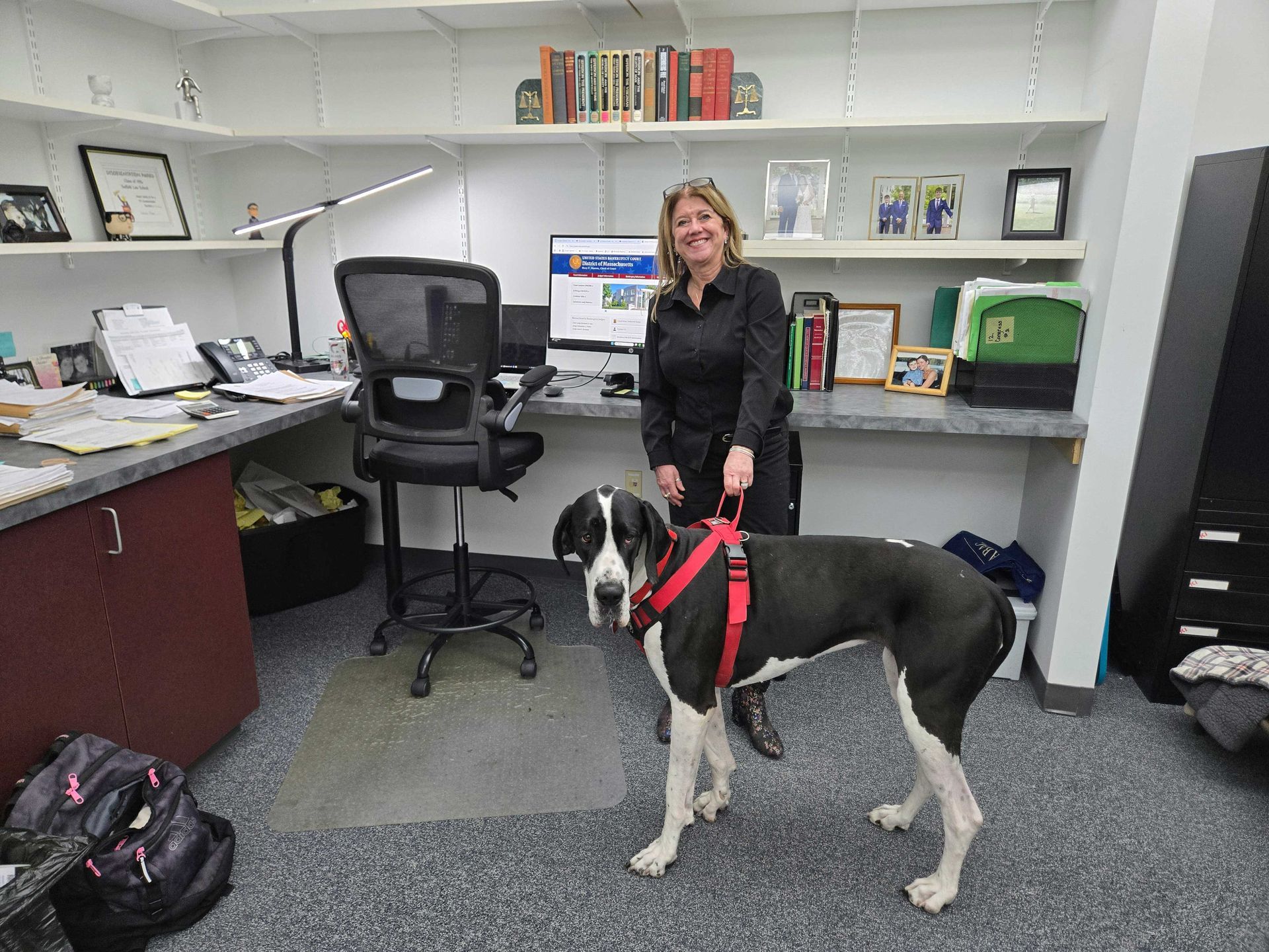 Woman in a black shirt stands next to a large dog with a red harness in an office.