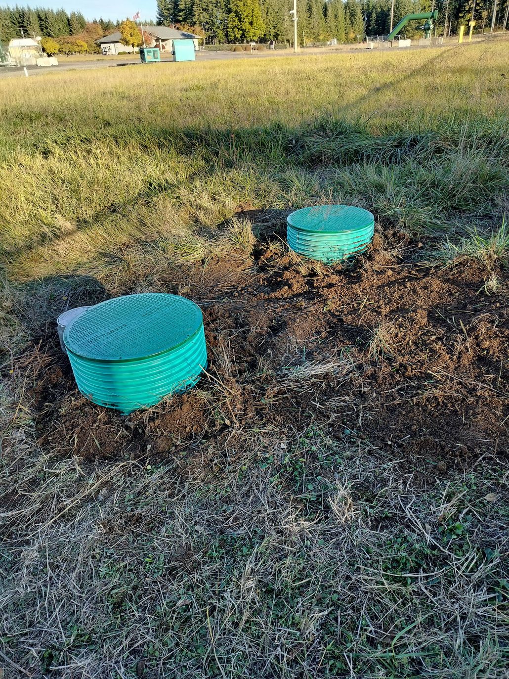 Sasquatch Septic