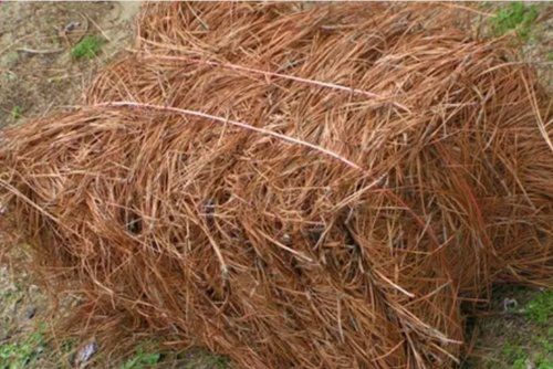 hay