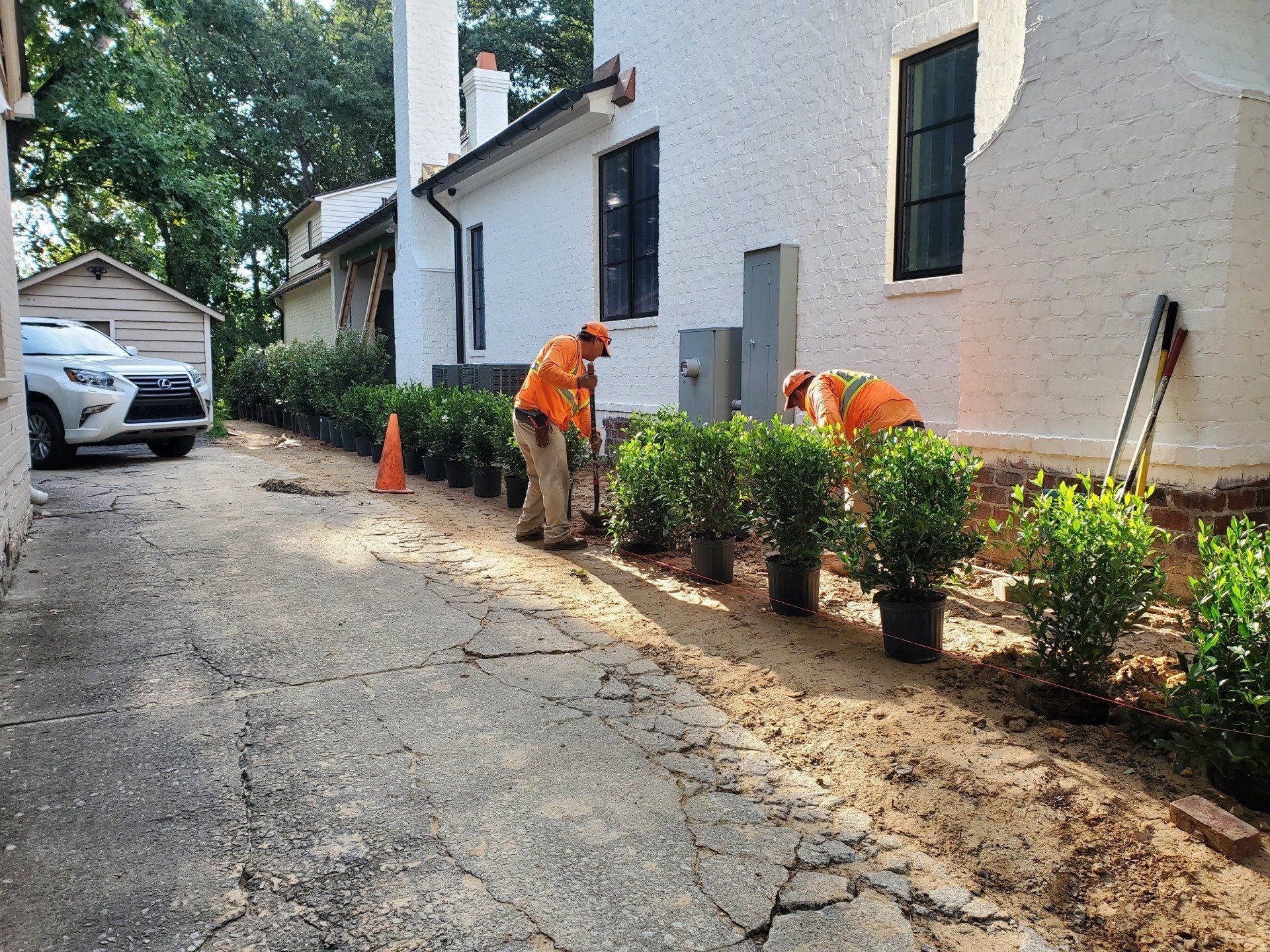 landscaping and installation services