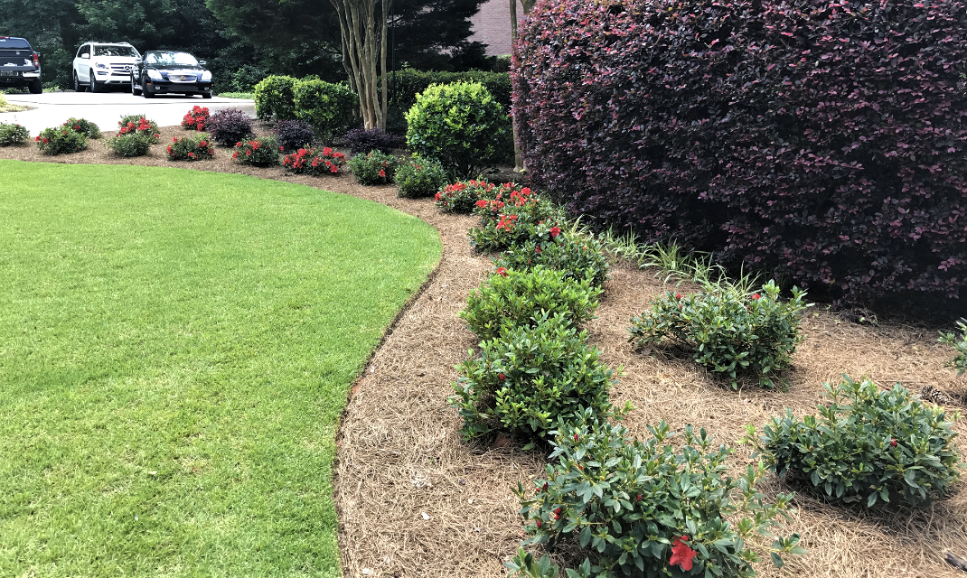 flowers and nicely trimmed bushes