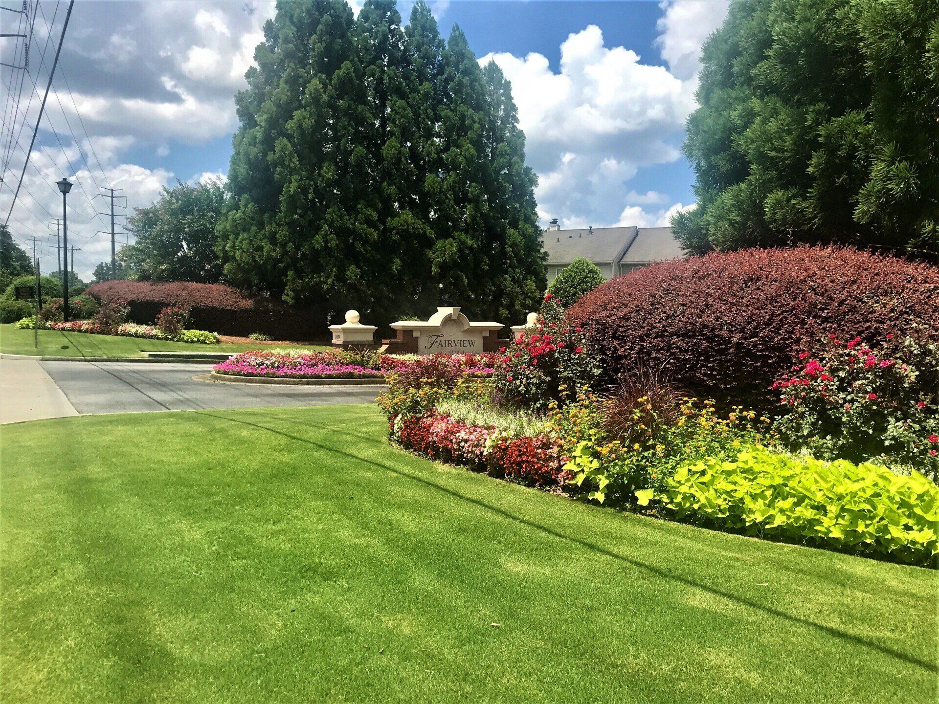 freshly mown grass lawn