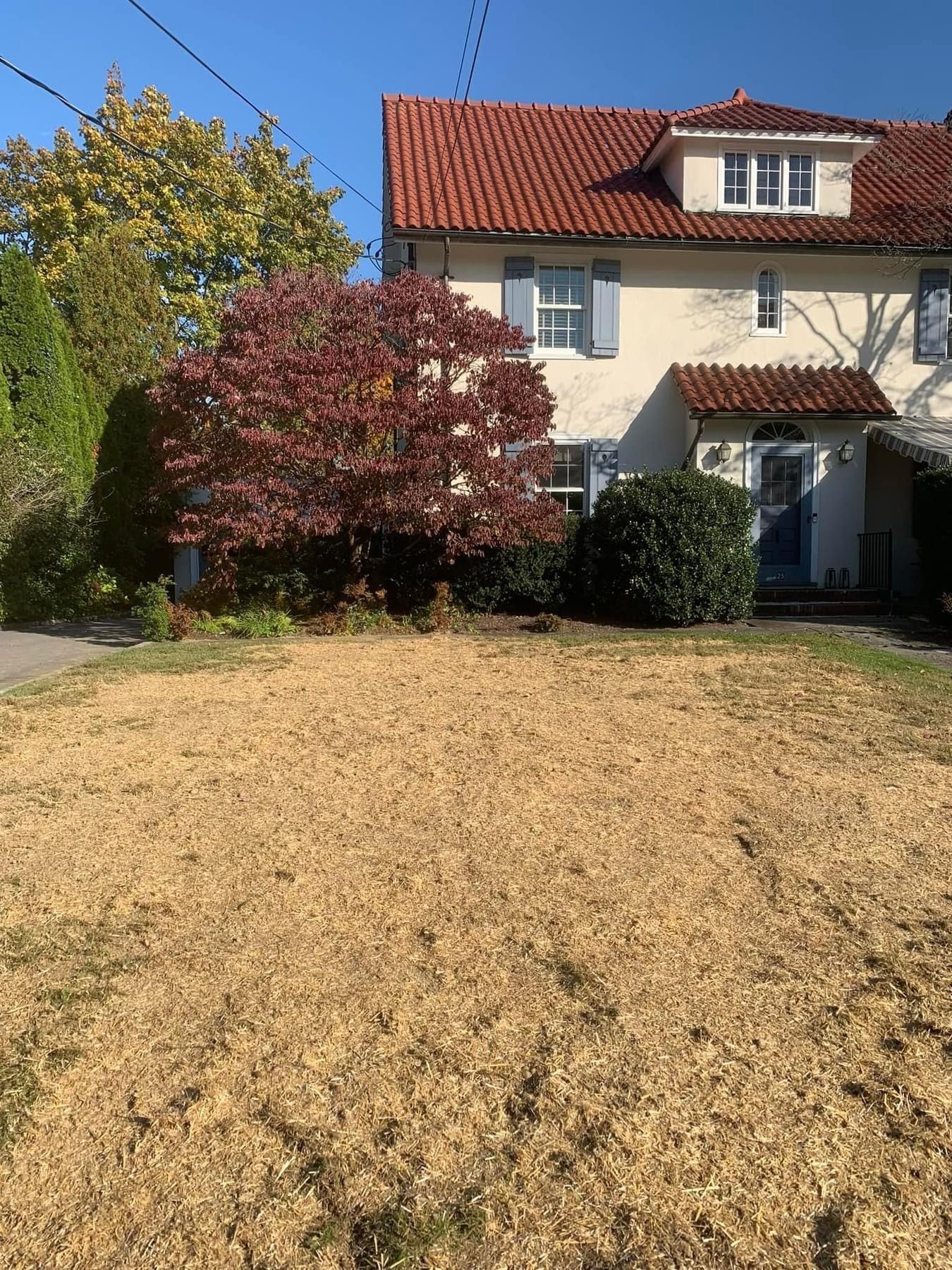 covered drainage by the lawn