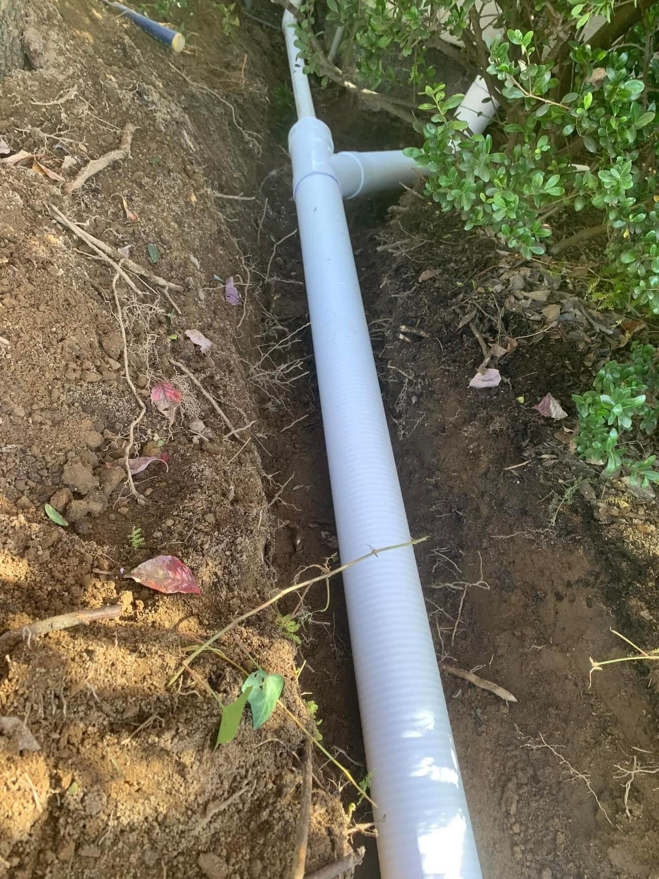white drainage tube