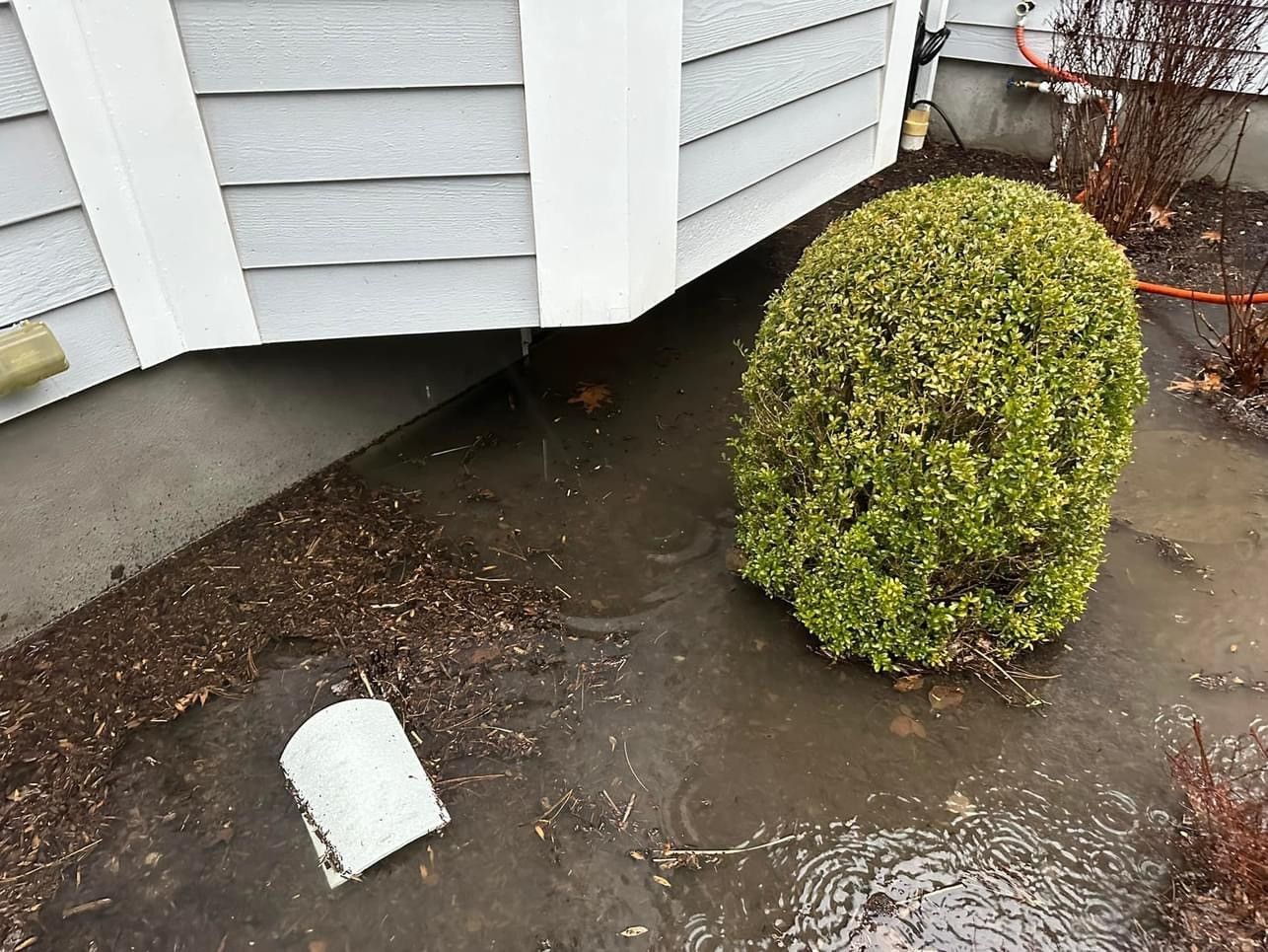 blocked drainage by the lawn