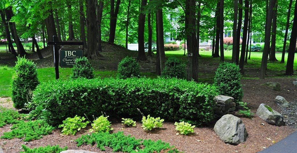 Backyard Beauty, Pound Ridge, NY