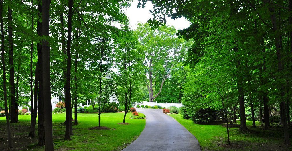 Backyard Beauty, Pound Ridge, NY
