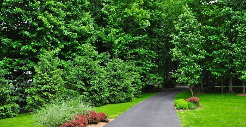 Backyard Beauty, Pound Ridge, NY