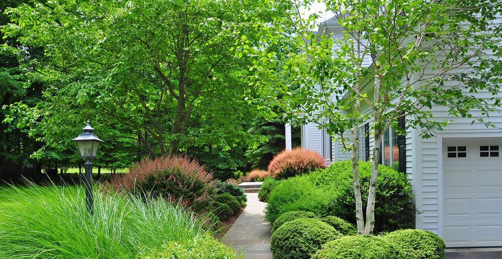 Backyard Beauty, Pound Ridge, NY
