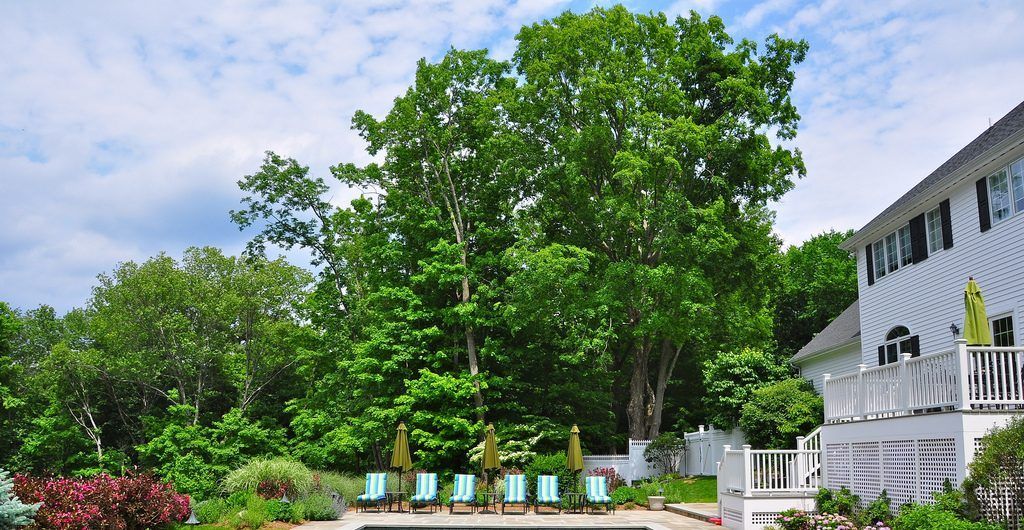 Backyard Beauty, Pound Ridge, NY