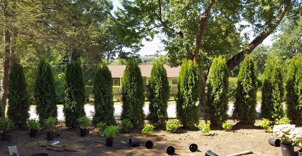 Entrance Stone Walkway, Landscaping, Patio Deck and Storage Shed