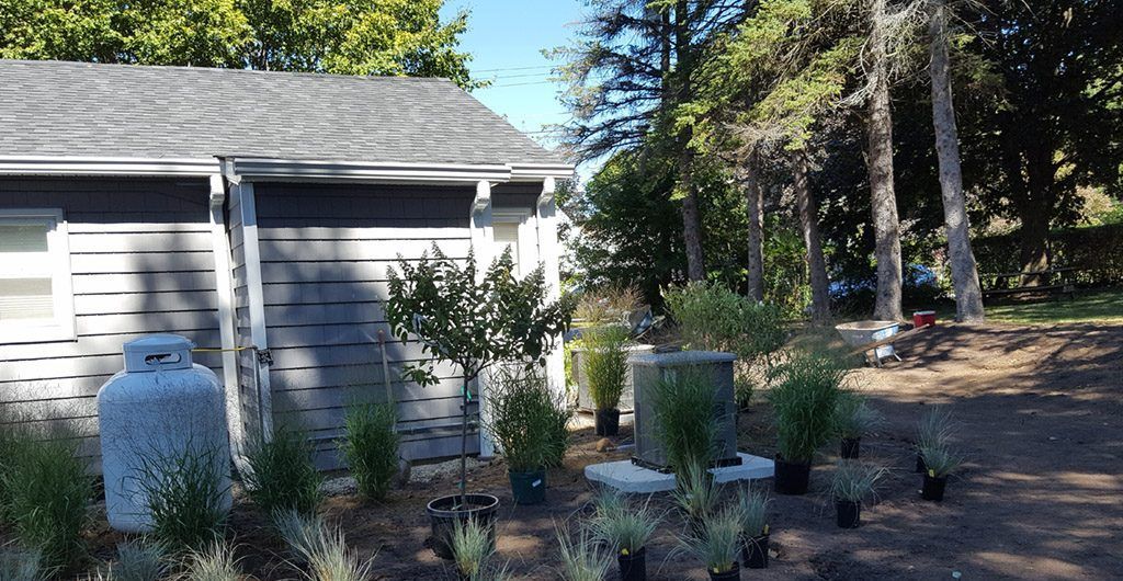 Entrance Stone Walkway, Landscaping, Patio Deck and Storage Shed