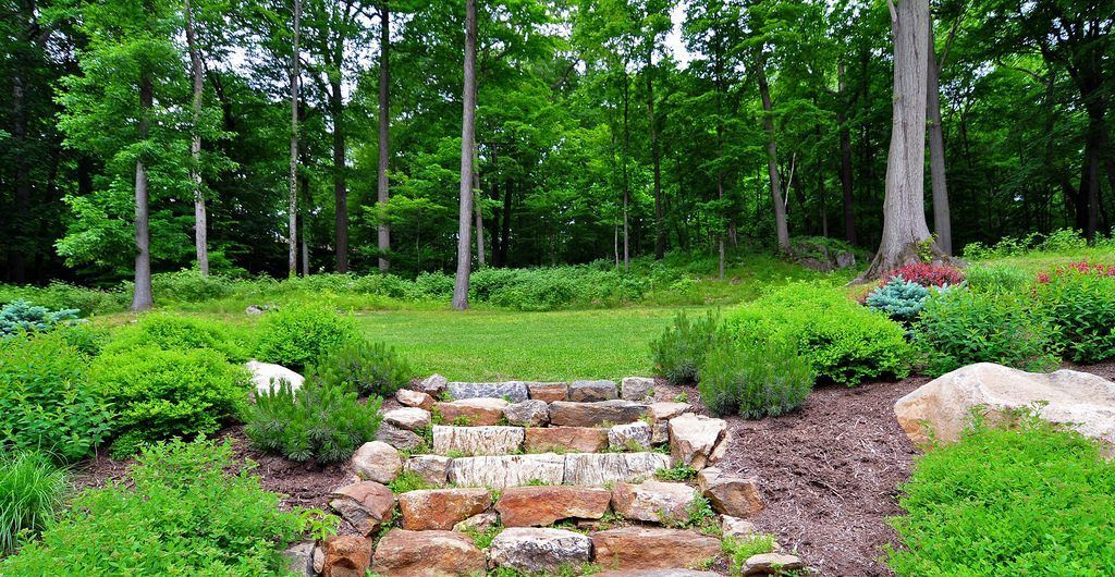 Multi-Level Sloped Rock and Grass Garden