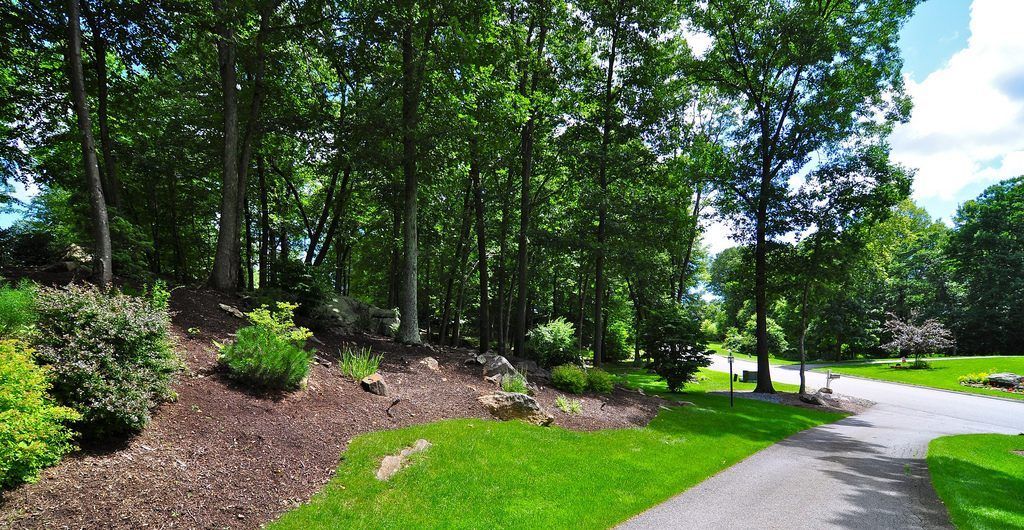 Residential Woodland Landscape, Putnam County, NY
