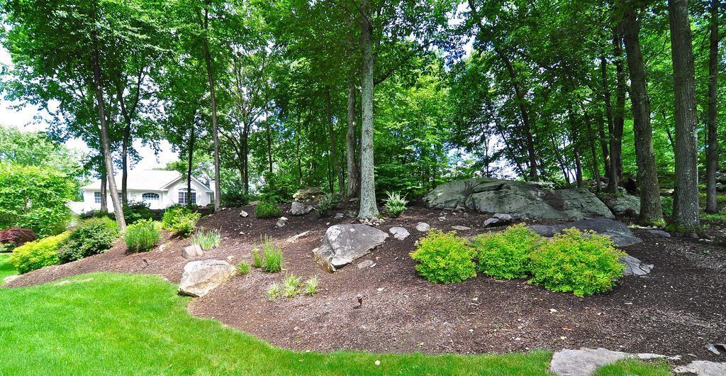 Residential Woodland Landscape, Putnam County, NY