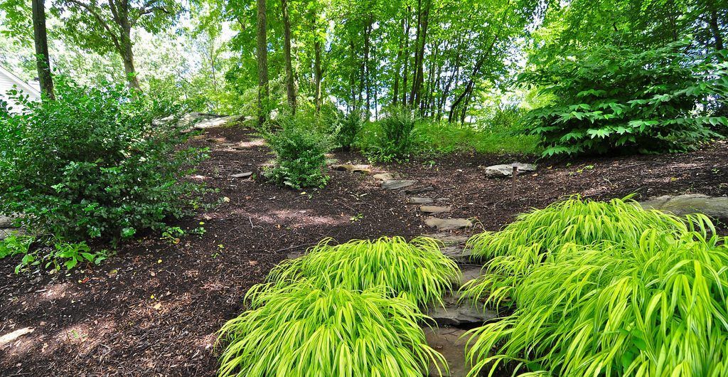 Residential Woodland Landscape, Putnam County, NY