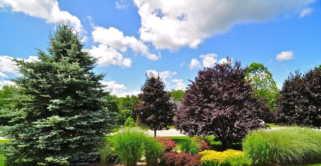 Serene Landscape Environments, Brewster, NY