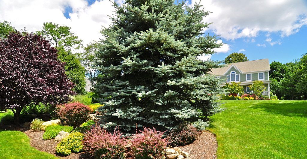 Serene Landscape Environments, Brewster, NY