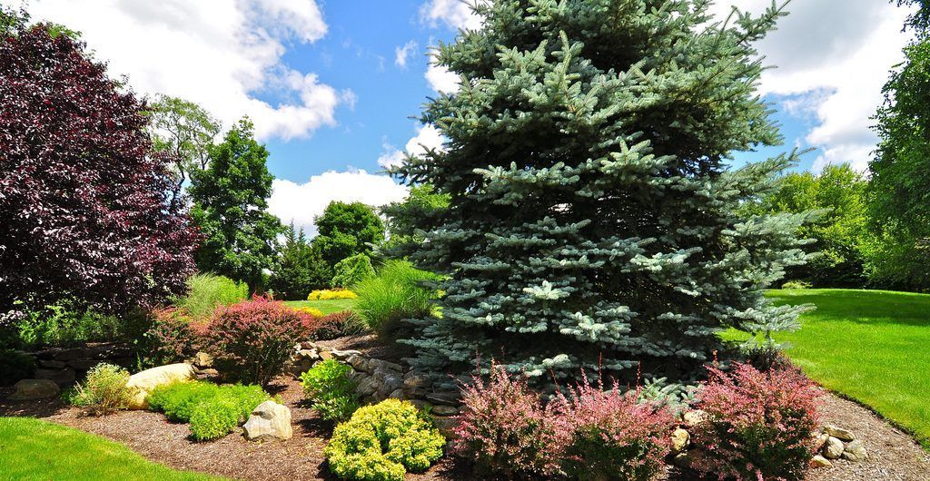 Serene Landscape Environments, Brewster, NY