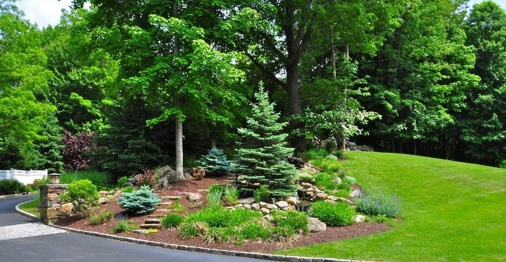 landscaping