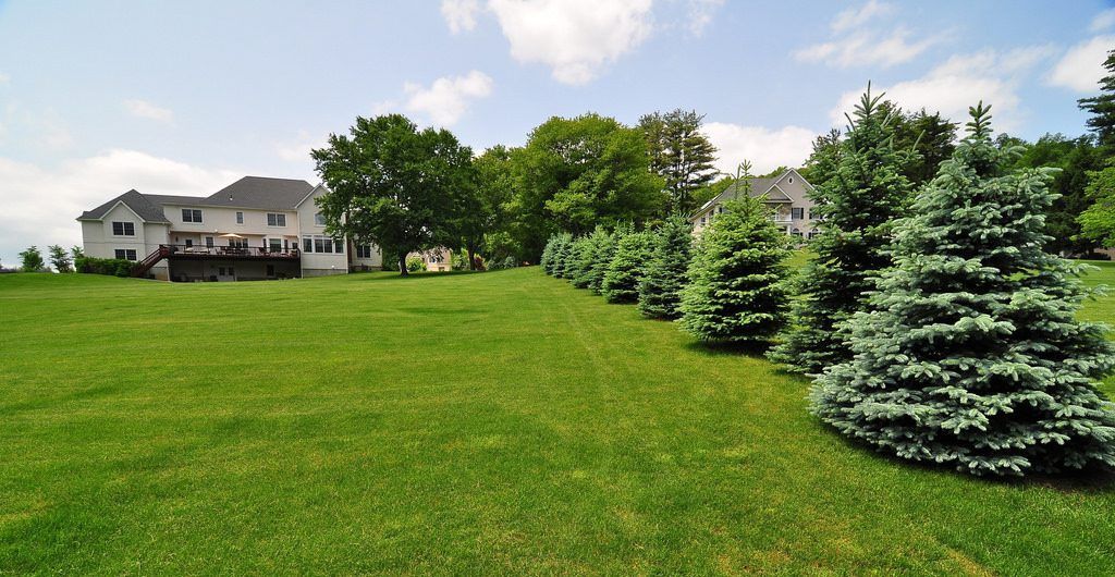 Summer Color Garden, Westchester County