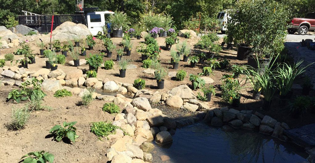 Water Feature with River Rock Pathways Landscape Design