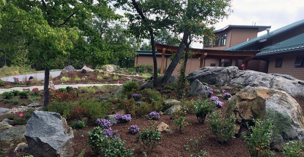 Water Feature with River Rock Pathways Landscape Design