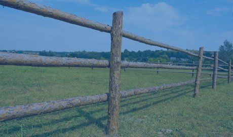 Fence surrounding a sunny pasture