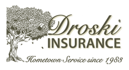 Droski Insurance Agency Inc logo