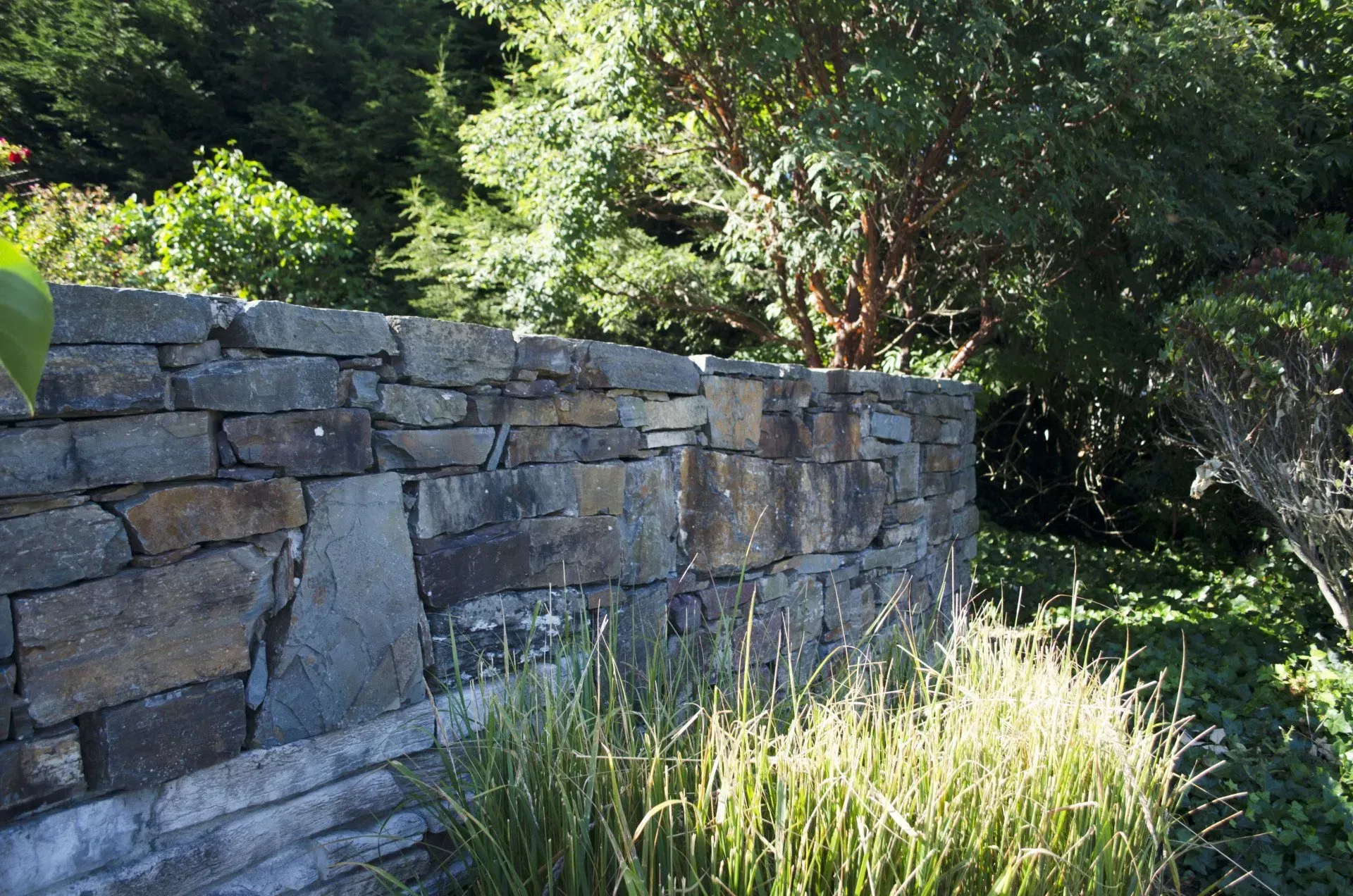 Stone wall in a garden with trees in the background and tall grass in the foreground.