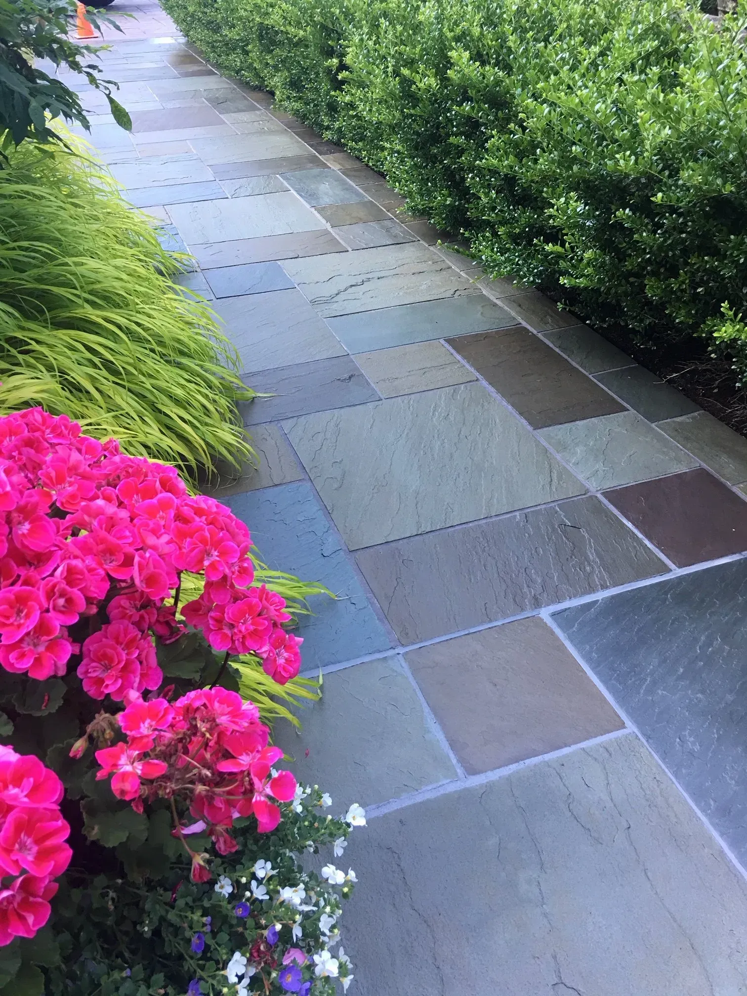 Stone pathway flanked by green bushes and pink flowers.