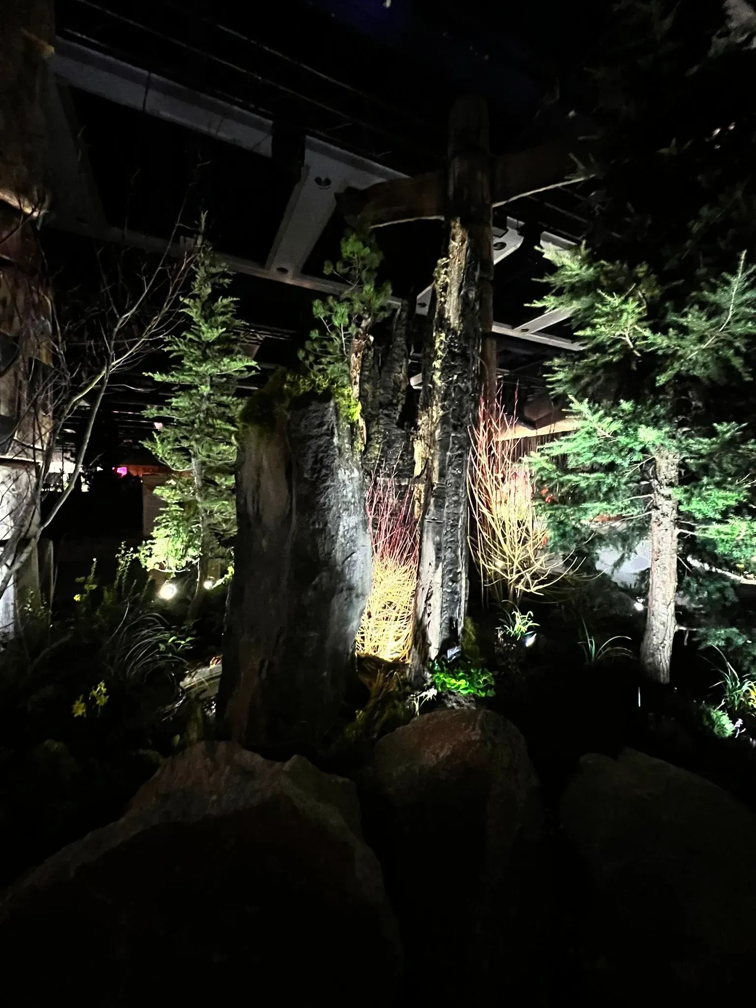 An illuminated forest scene. Dark with green trees, rocks, and colorful lighting on a central weathered structure.