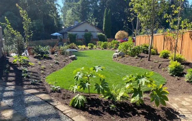 Lush green yard with a new lawn and flowerbeds, bordered by a wooden fence and trees.