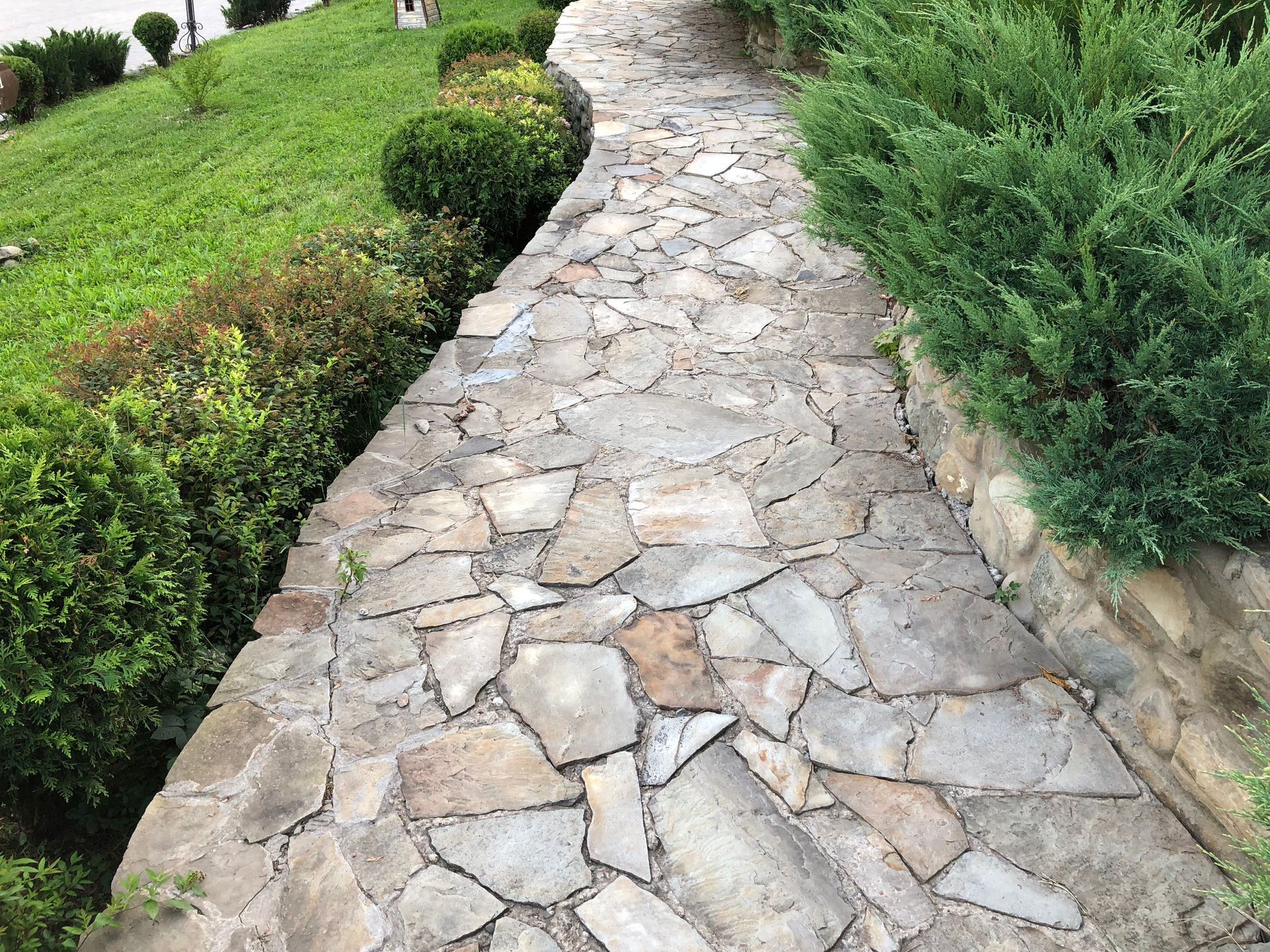 Stone pathway winding through greenery and shrubs.