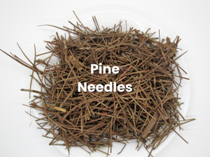 A pile of pine needles on a white plate