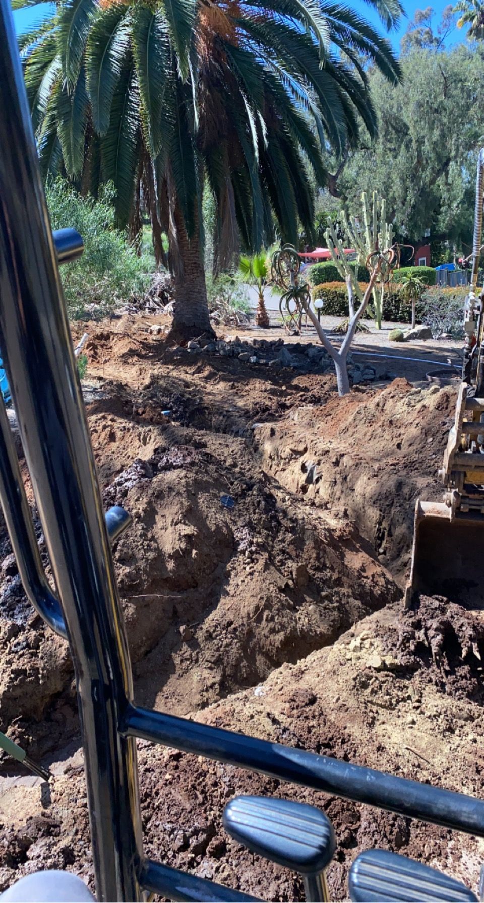 Excavation site with a deep dirt trench beside a large palm tree and construction equipment