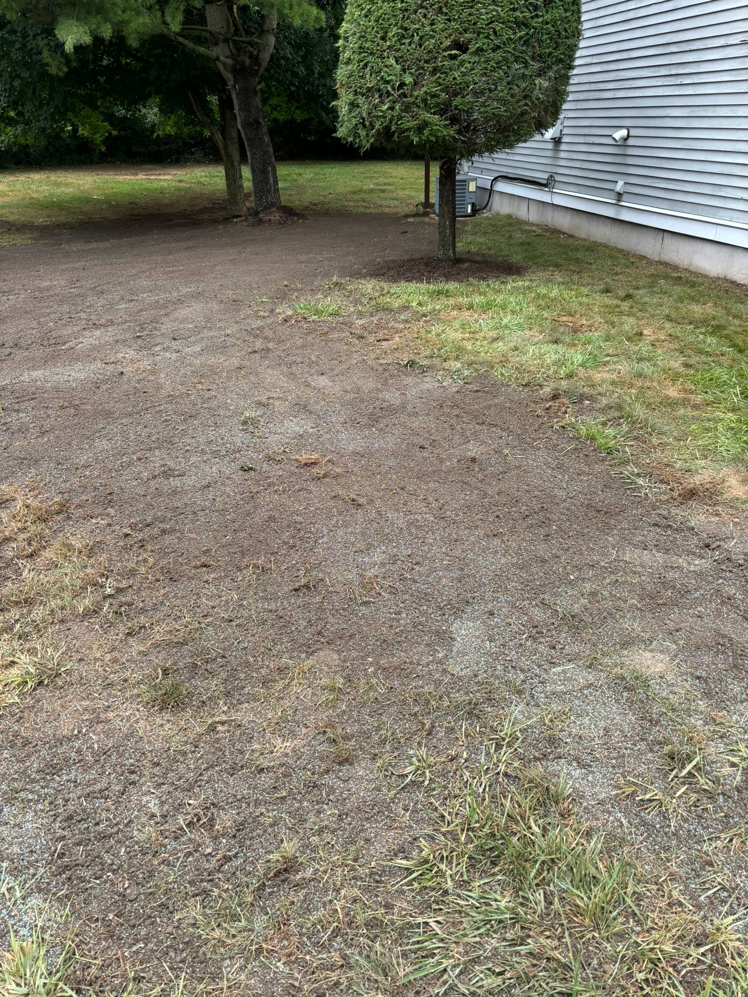 A gravel driveway leading to a house with trees in the background.