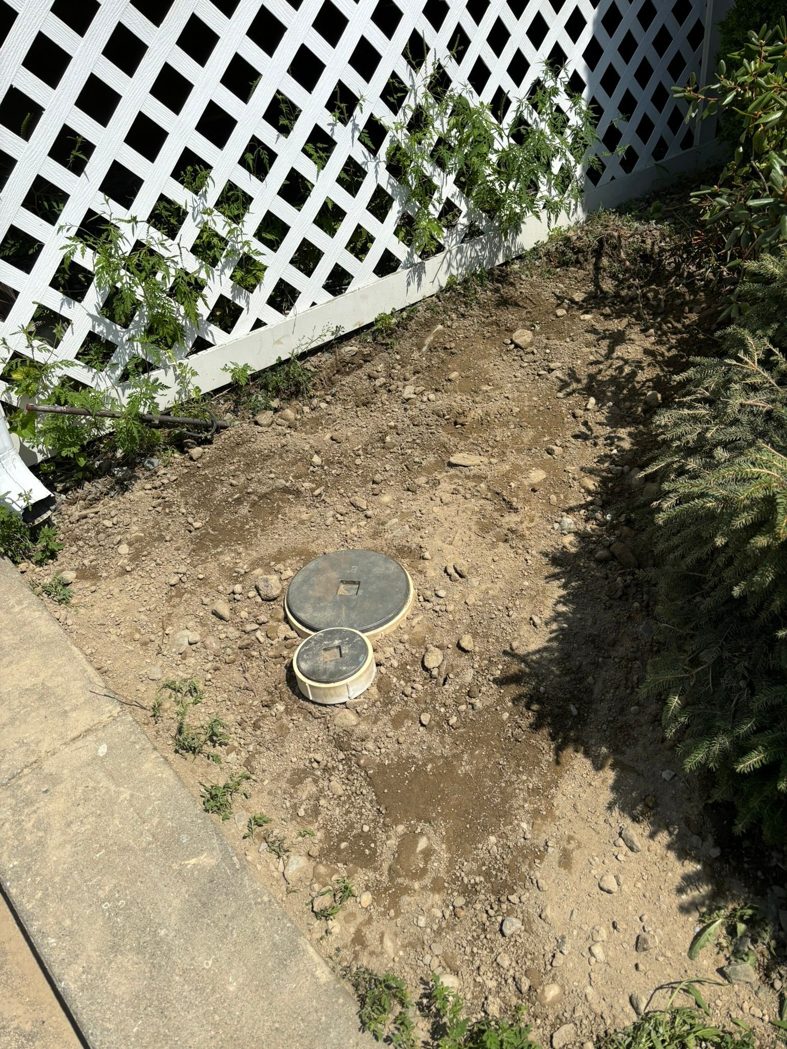 A dirt area with a white lattice fence in the background.