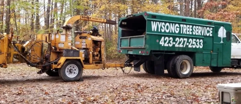 Wysong Tree Service Truck