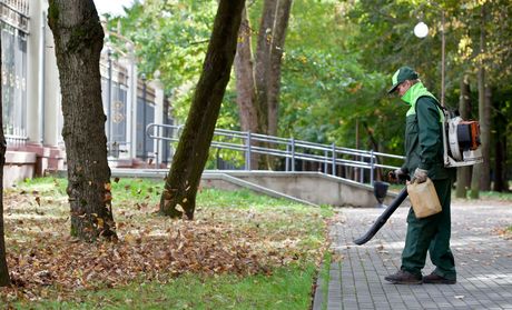 A man is blowing leaves in a park with a backpack blower.