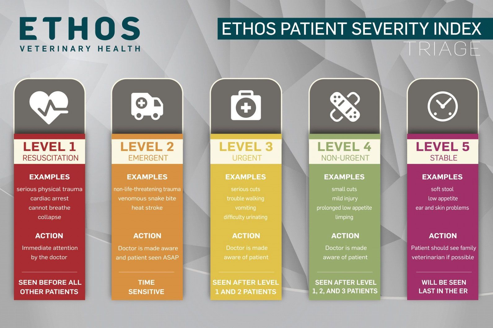 ETHOS patient severity index