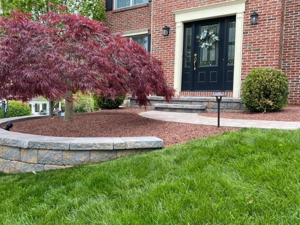 lush grass with pink tree