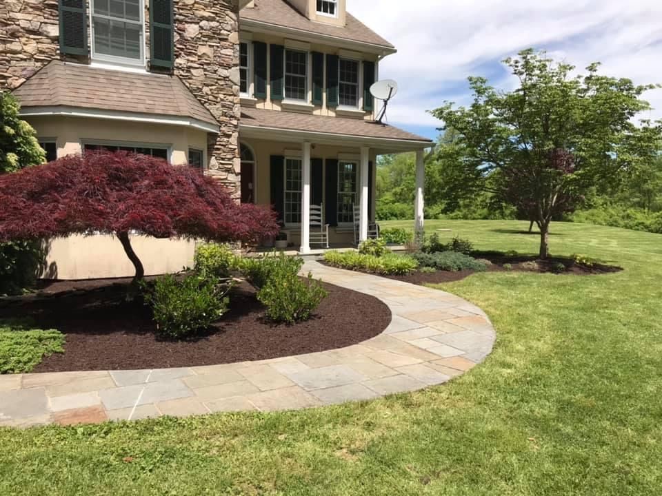beautiful patio and garden