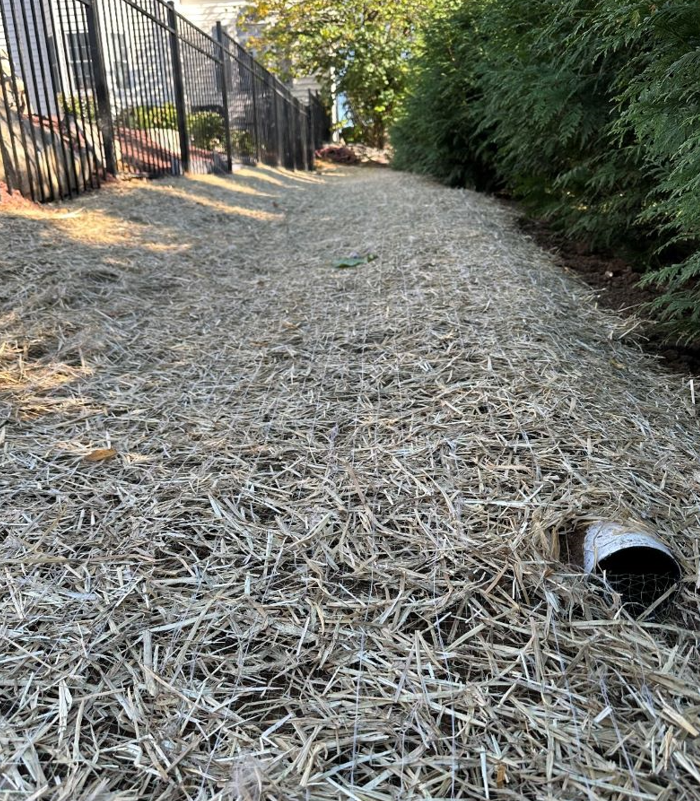 dried grass with pipe
